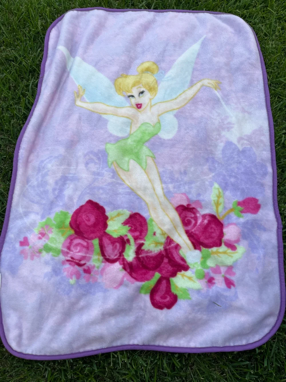 Tinker Bell Floral Plush Throw Blanket - Purple & Green